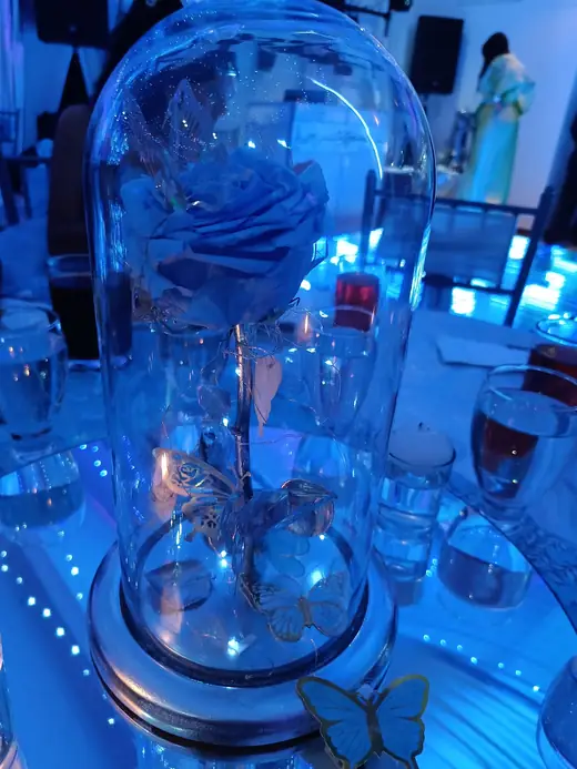 Rosa bajo campana de cristal sobre la pista LED azul